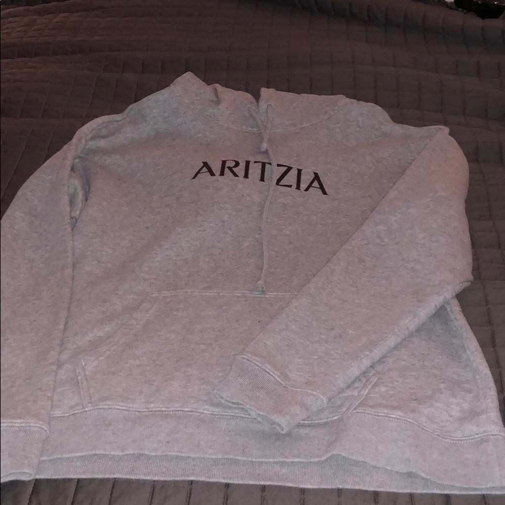 Aritzia Sweatshirt